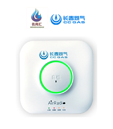 888集团电子游戏报警器（自然气）